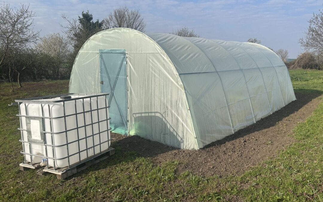 Plastenik je postavljen – uskoro kreće sadnja!