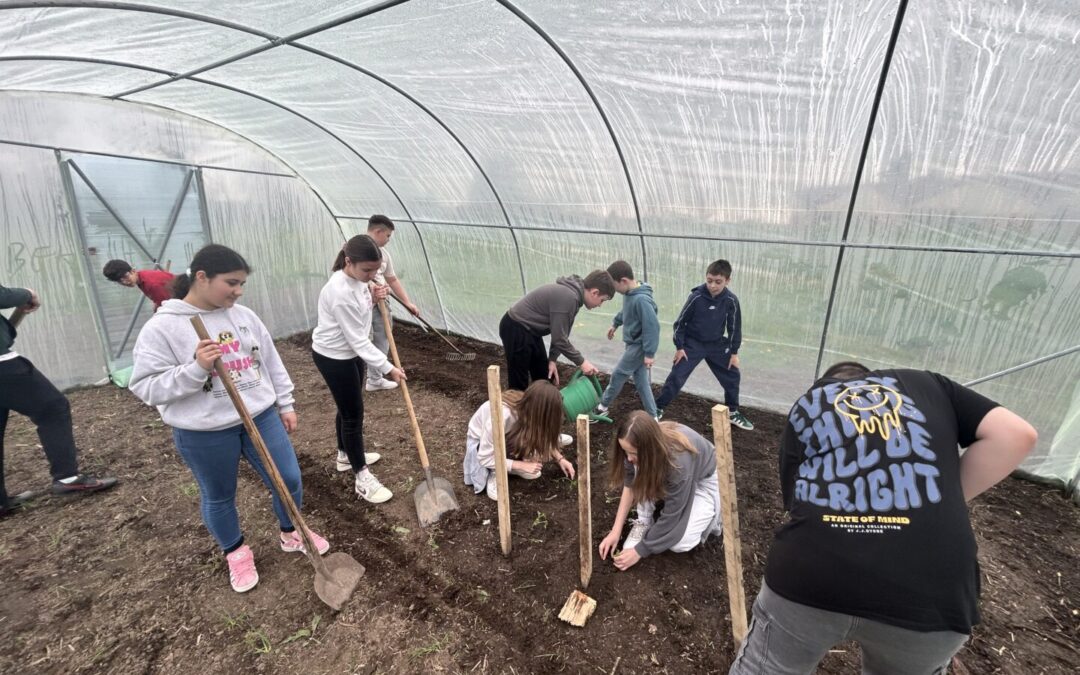 Školski plastenik oživio sadnjom prvog povrća